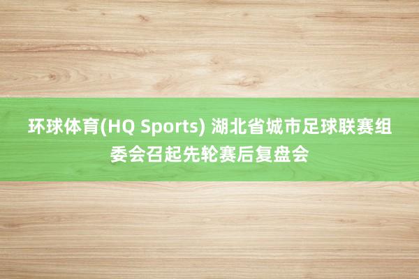 环球体育(HQ Sports) 湖北省城市足球联赛组委会召起先轮赛后复盘会