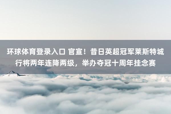 环球体育登录入口 官宣！昔日英超冠军莱斯特城行将两年连降两级，举办夺冠十周年挂念赛