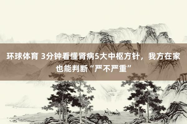 环球体育 3分钟看懂肾病5大中枢方针，我方在家也能判断“严不严重”