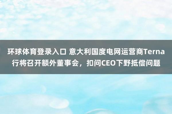 环球体育登录入口 意大利国度电网运营商Terna行将召开额外董事会，扣问CEO下野抵偿问题